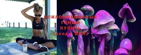 тгк Балахна